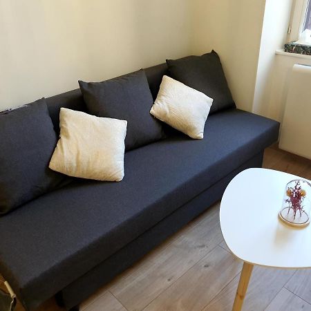 Appartement Cosy Entier, Parking Gratuit Dans La Rue Dijon Exterior foto